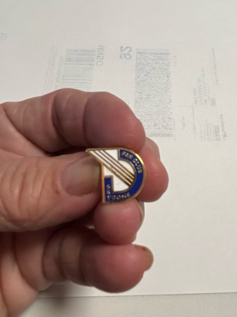 Skydome Fan Club pin